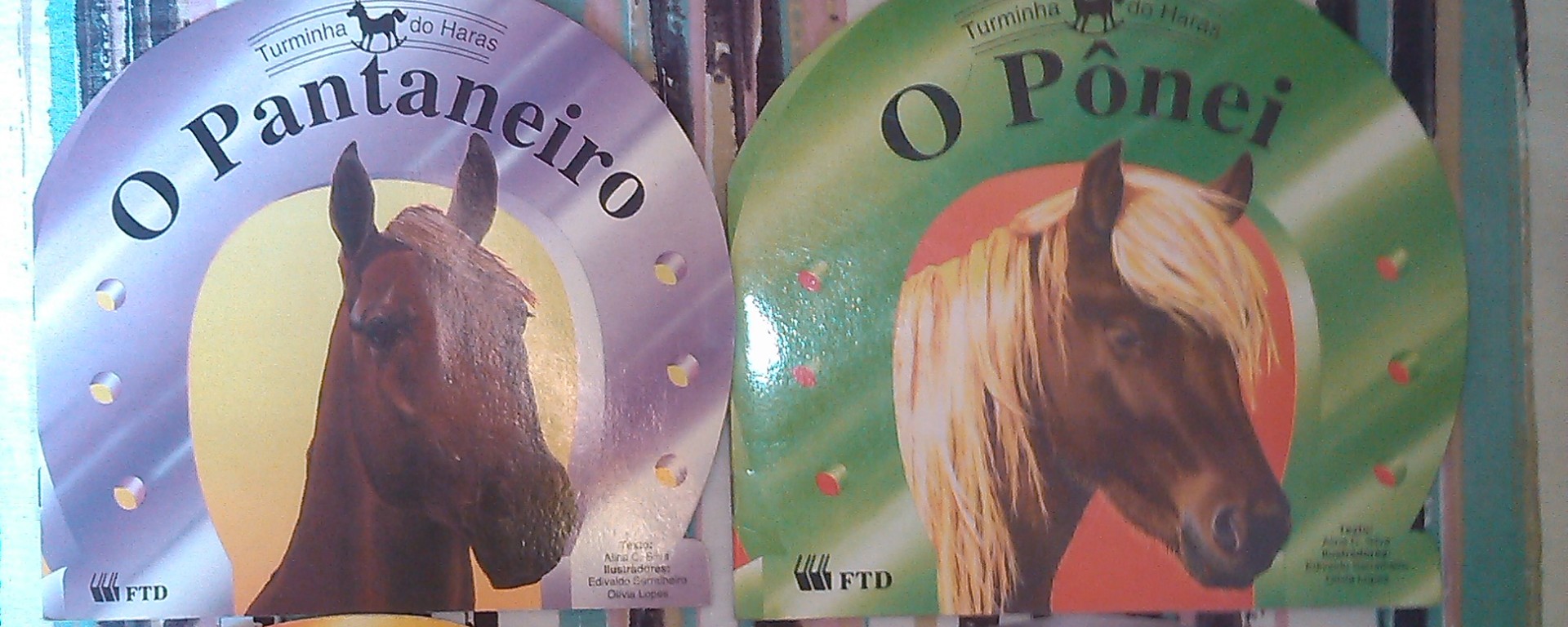 Livro para equoterapia sobre as diferentes raças de cavalo.