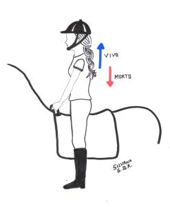Desenho de uma praticante de equoterapia, montada um cavalo, na posição em pé, sobre os estribos.